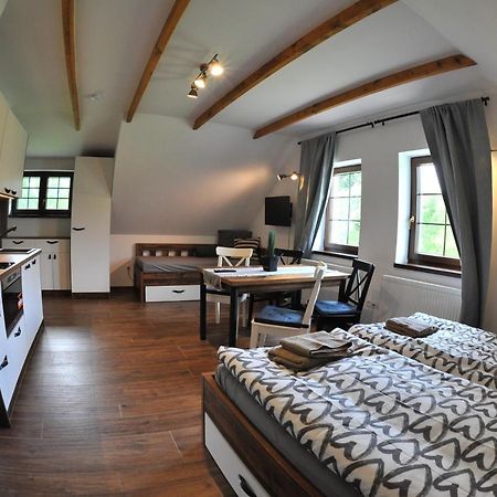 Apartmany U Fibichu Orlicke Zahori Εξωτερικό φωτογραφία